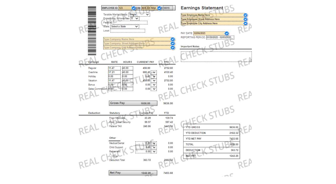 Advanced Paycheck Stub Template 3